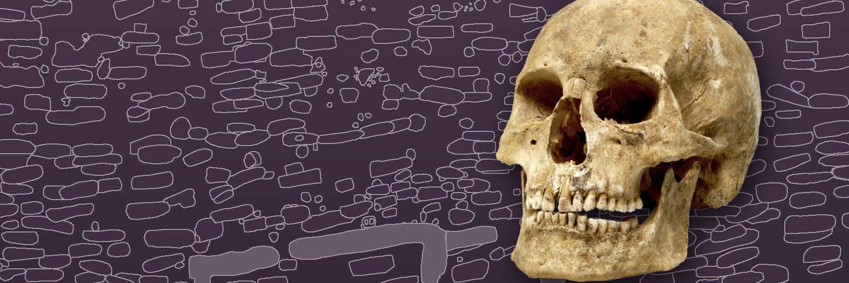 Bind 3 i Museets videnskabelige bogserie