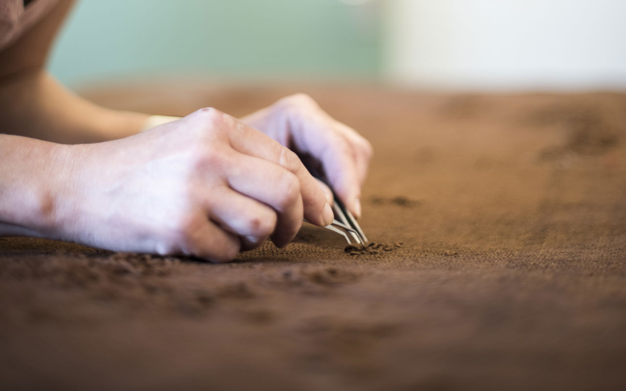 Konservatoren arbejder med tekstilet fra Auningkvinden