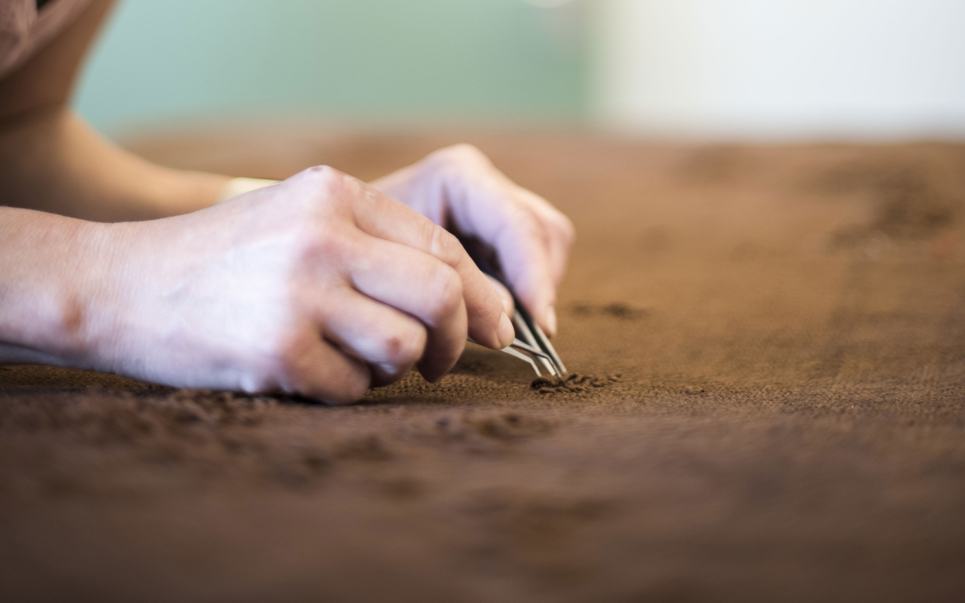 Konservatoren arbejder med tekstilet fra Auningkvinden