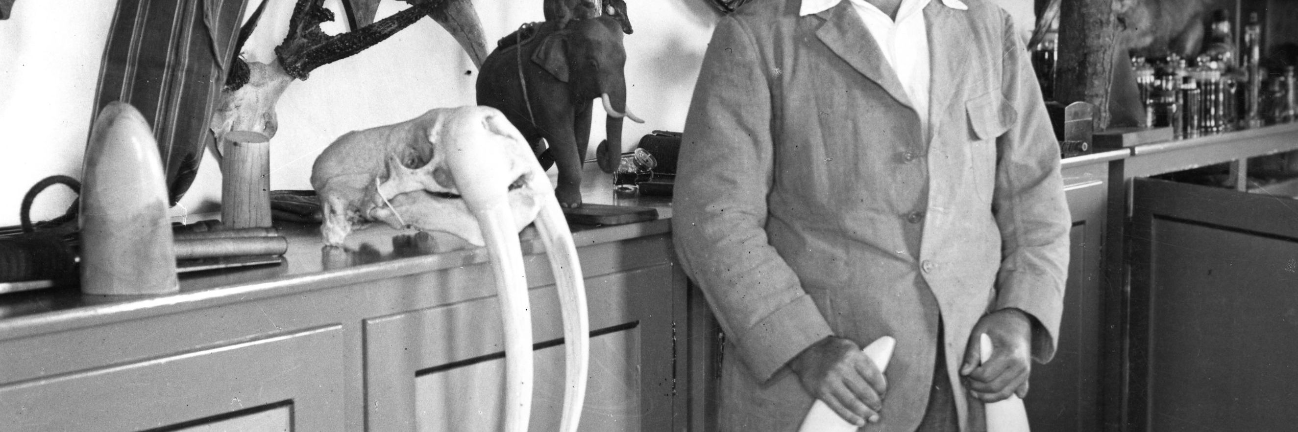 Rasmus Havmøller i sin samling