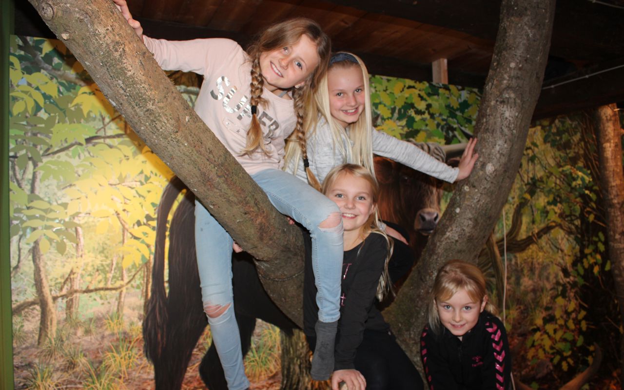 Børn der sidder i et træ