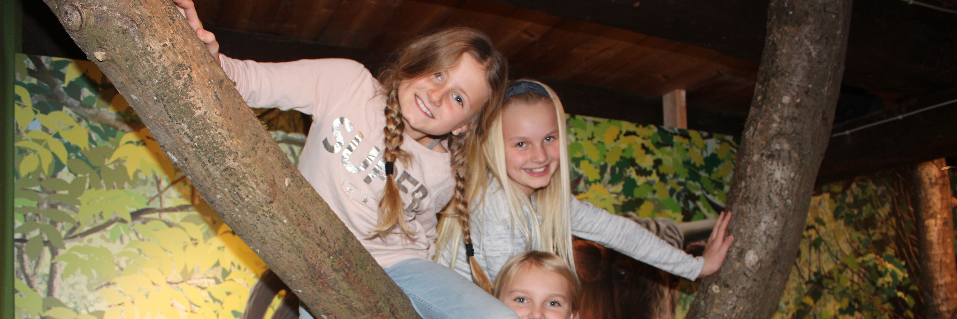 Børn der sidder i et træ