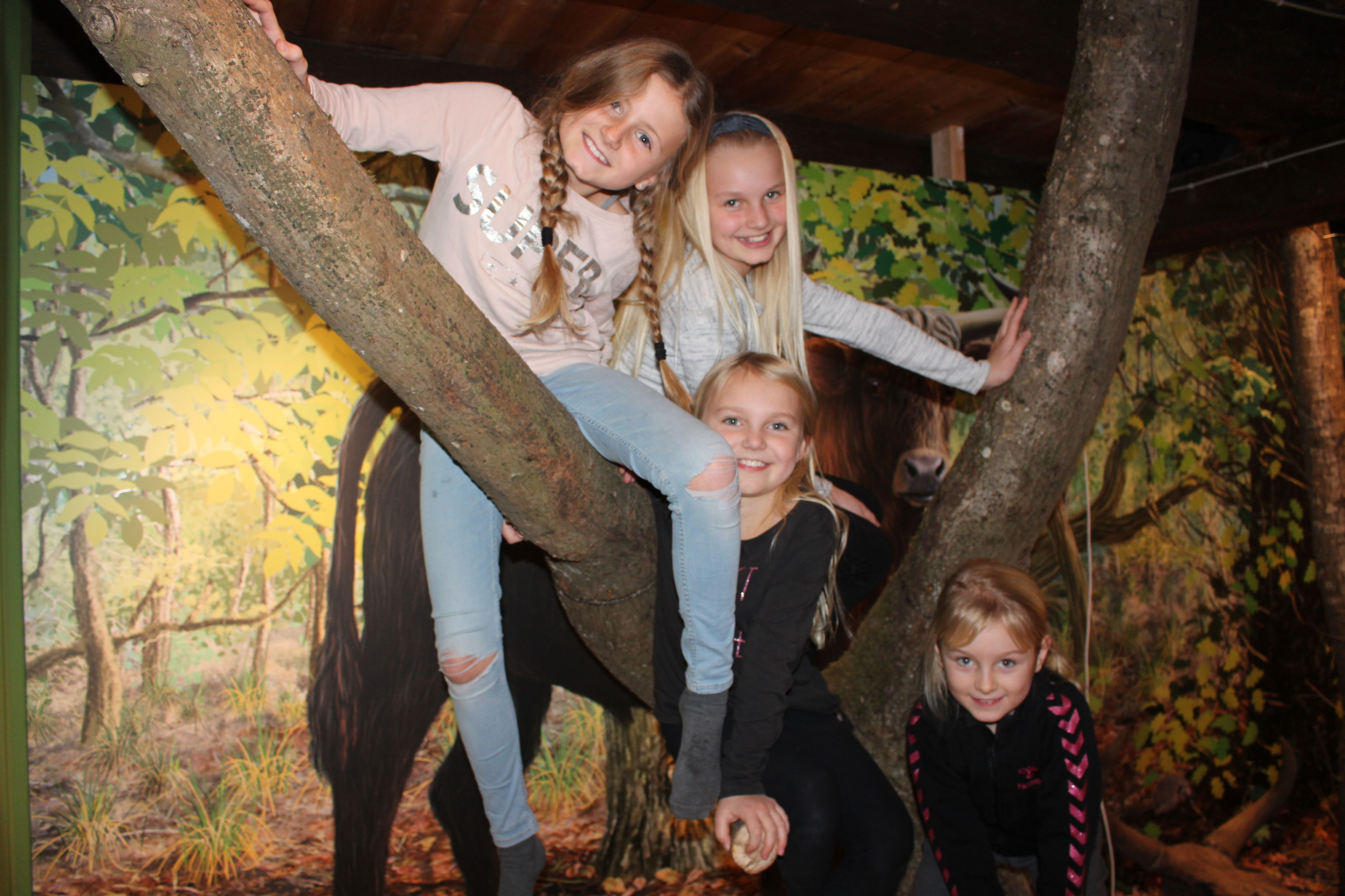 Børn der sidder i et træ