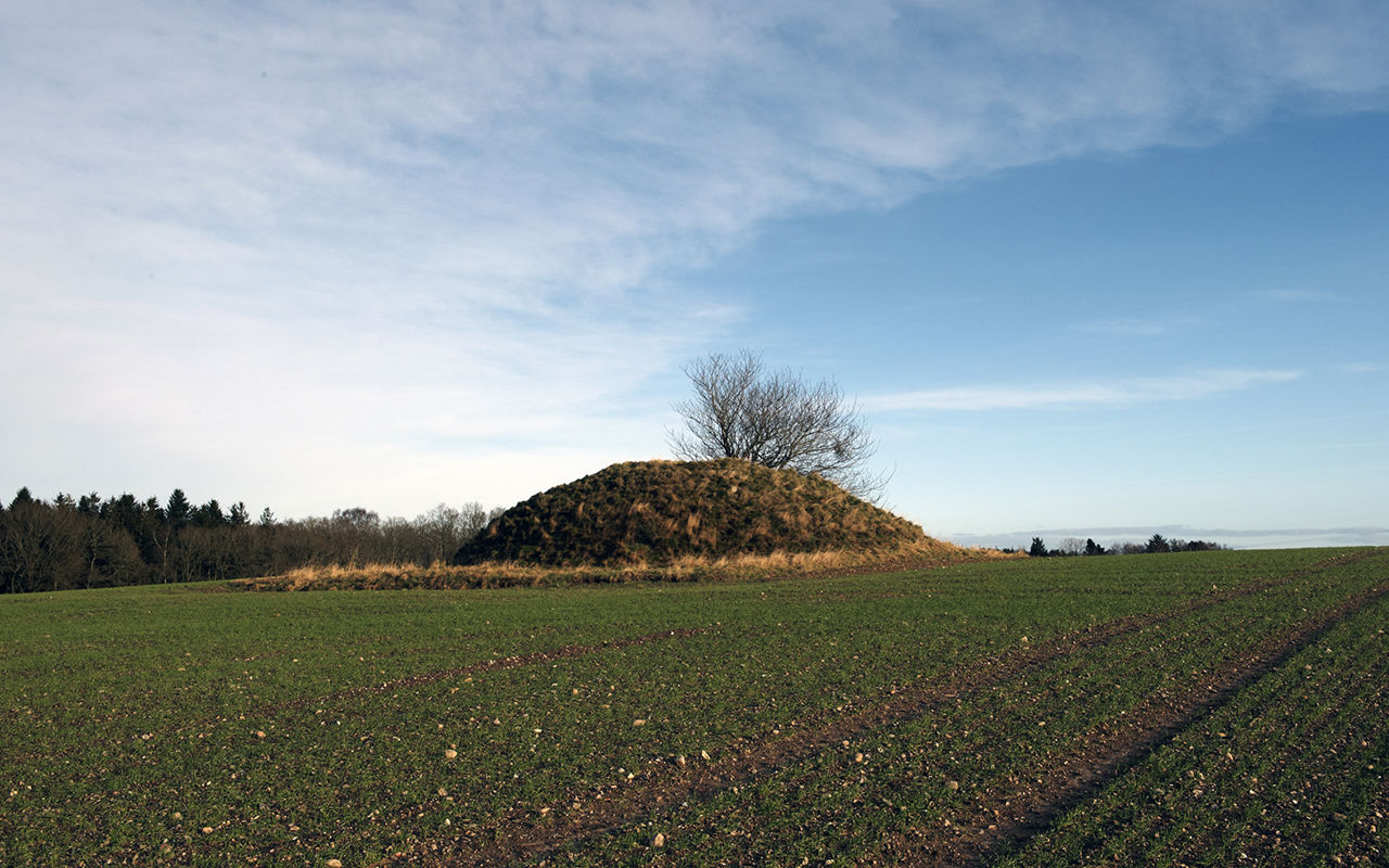 Gravhøj fra bronzealderen