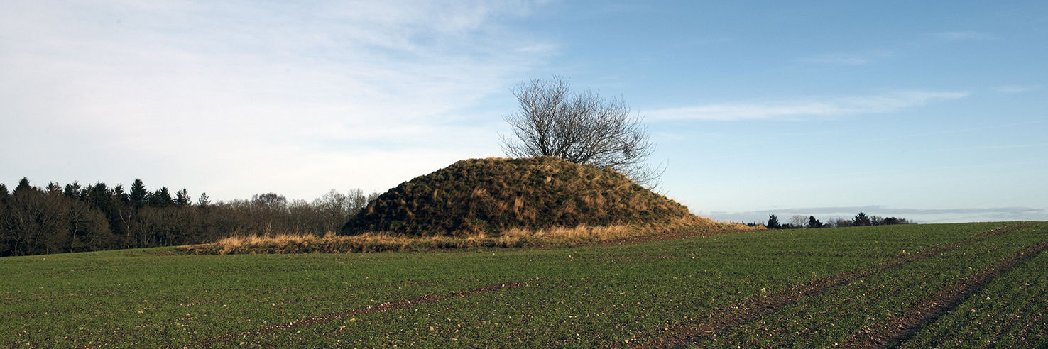 Gravhøj fra bronzealderen