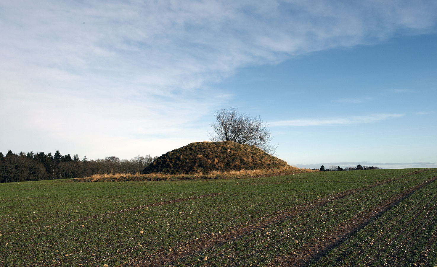 Gravhøj fra bronzealderen